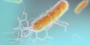 blog-A Pseudomonas aeruginos-2 copy-1