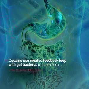 drug testing lab, pcr lab testing, cocaine drug testing lab