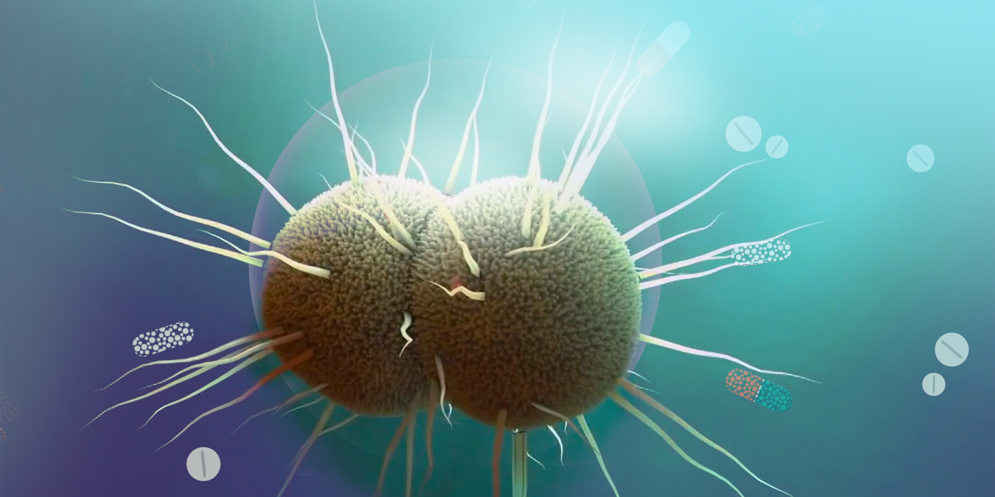 Drug-resistant gonorrhea is no match for a new class of antibiotics